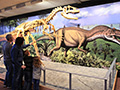 Dinosaurs